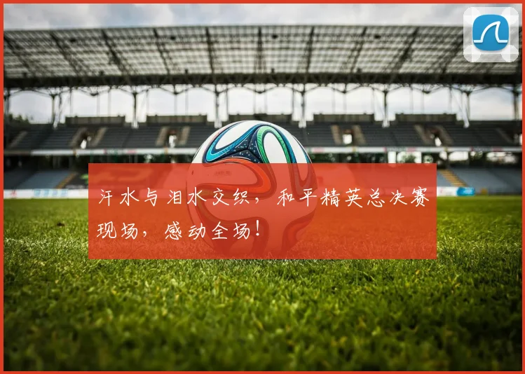 汗水与泪水交织，和平精英总决赛现场，感动全场！