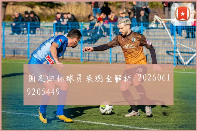 国足归化球员表现全解析_20260619205449