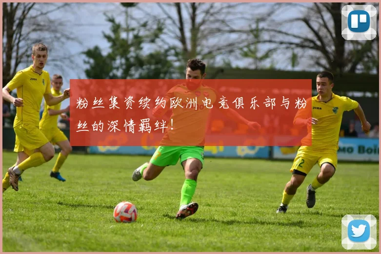 粉丝集资续约欧洲电竞俱乐部与粉丝的深情羁绊！