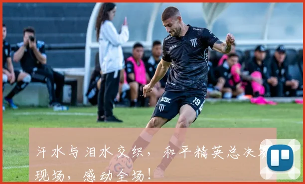汗水与泪水交织，和平精英总决赛现场，感动全场！