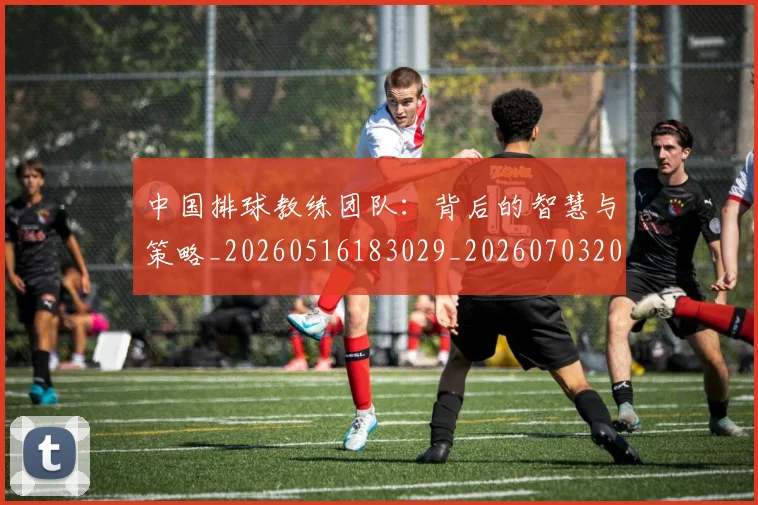 中国排球教练团队:背后的智慧与策略_20260516183029_20260703204908